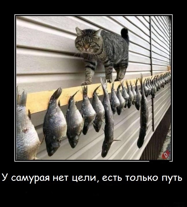 самурай.jpg