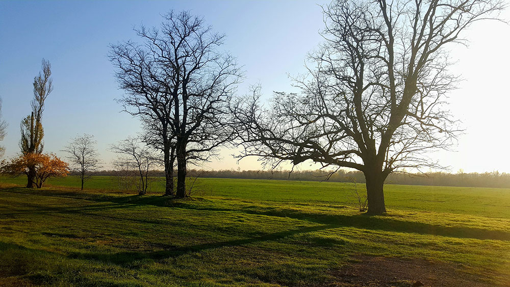 20201115_145407.jpg